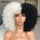 Short Hair Afro Kinky Curly Wigs With Bangs Synthetic Natural Blonde Wig