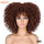 Short Hair Afro Kinky Curly Wigs With Bangs Synthetic Ombre Glueless Wig